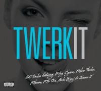 Various Artists : Twerk It CD Box Set 3 discs (2013) NEW Amazing Value