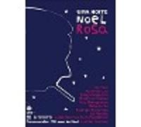 Various Artists - Uma Noite Noel Rosa / Various