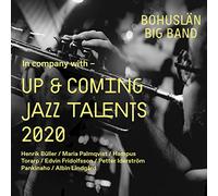 Various Artists - Up & Coming Talents 2020