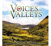 Various Artists - Voices Of The Valleys - Welsh Male Voice Choirs/Bryn Terfel