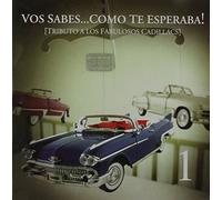 Various Artists - Vos Sabes Como Te Esperaba Tributo A Los Fabulosos Cadillacs