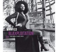 Various Artists Wanted: Blaxploitation: From Diggers to Musi (Vinyl) (US IMPORT)