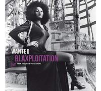 VARIOUS ARTISTS - WANTED - BLAXPLOITATION - FROM DIGGERS TO MUSIC LOVERS [VINYL]