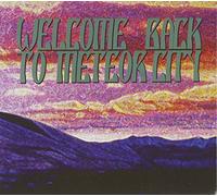 Various Artists - Welcome Back To Meteor City(2