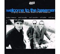 Various Artists - Welcome To The Basement [VINYL]