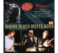 Various Artists - Where Blues Meets Rock Viii