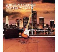 Various Artists - While My Guitar Gently Weeps 2