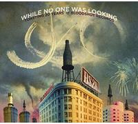 Various Artists - While No One Was Looking: Toasting 20 Years of Bloodshot Records