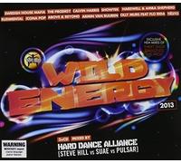 Various Artists - Wild Energy 2013