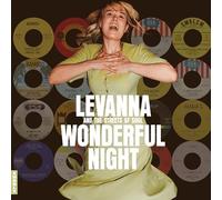 VARIOUS ARTISTS - Wonderful Night Curated By Levanna - New Vinyl Recor - Y600z