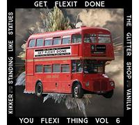 Various Artists - You Thing Vol 6- Get Flexit