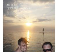 Various - Audiolith-Doin Our Thing Vol.2 [VINYL]