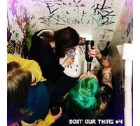 Various: Audiolith-Doin' Our Thing Vol.4