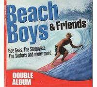 Various - Beach Boys & Friends Vol 1