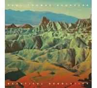 Various - Beautiful Desolation [CD]