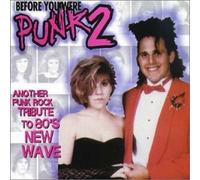 Various - Before You Were Punk 2