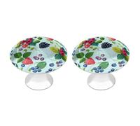 Various Berry Paintings Cabinet Knobs, 2-Pack Silver Stainless Steel Drawer Pulls with Screws, Elegant Hardware for Dressers, Kitchen,Cabinets & Desks