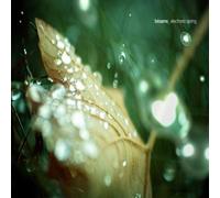 Various - Besame-Electronic Spring