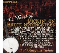 Various - Best of Pickin on Bruce Spring
