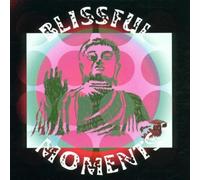 Various - Blissful Moments (Wellness & Entspannung)