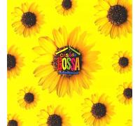 Various - Bossa Nova Magic-Live in Rio