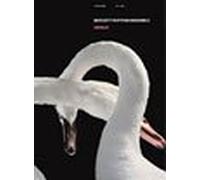 Various - Boycott Rhythm Machine 2: Versu