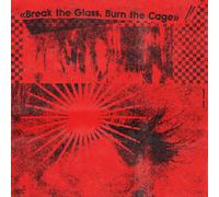 VARIOUS ARTISTS - BREAK THE GLASS, BURN THE CAGE (THE SOUND OF INDIE PUNK ROCK)