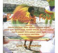 Various - Breathing Fire