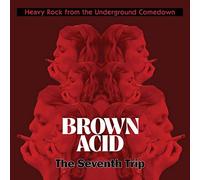 Various Artists - Brown Acid - The Seventh Trip