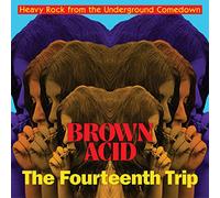 Various - Brown Acid: The Fourteenth Trip [VINYL]
