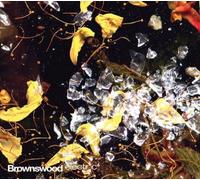 Various - Brownswood Electric 4