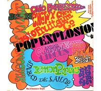 Various - Buddah´s Pop Explosion