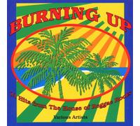 Various - Burning Up