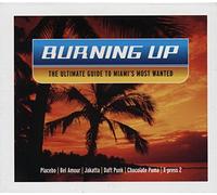 Various - Burning Up
