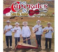 Various - Caporales De Santa Ana Amatlan