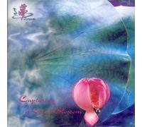 Various - Capturing a Lotus Blossom