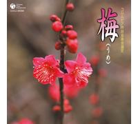 Various - Columbia Ginei Concours Kadaig