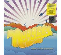Various - Come To The Sunshine Soft Pop Nuggets From The WEA Vaults - V - G3z