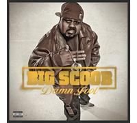 Various - Damn Fool [CD]