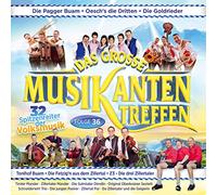 Various - Das Grosse Musikantentreffen-Folge 36