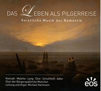 Various - Das Leben Als Pilgerreise