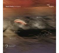 Various - DAVID HUDRY: Durchgang