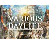 Various Daylife (PC) Steam Key - GLOBAL