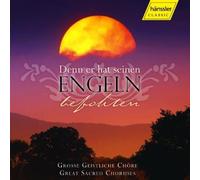 Various - Denn er hat seinen Engeln befohlen