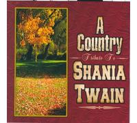 Various - DJ a Country Music Tribute to