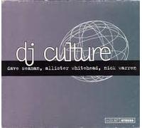 Various - DJ Culture 2