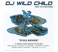 Various - DJ Wildchild Feat Mcchicka