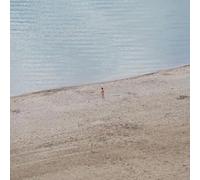 Various - Eight Waves In Search Of An Oc [VINYL]