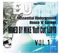 Various - Essential Underground House N