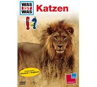 Various - Fingeroth, Danny Katzen / Cats, DVD